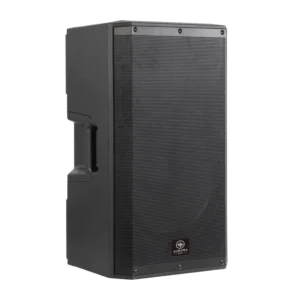 AURORA AVX CLUB X15 CABINA ACTIVA DE 15 PULGADAS